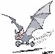 A página Educacional sobre os Morcegos!